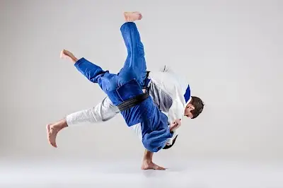 Sportschule West BJJ Academy - photo 1