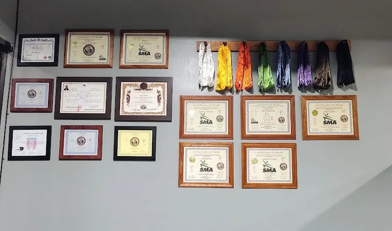 Spring Martial Arts BJJ Academy - photo 2