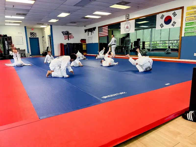 Springs Jiu-Jitsu | Gracie Jiu-Jitsu Green Cove Springs BJJ Academy - photo 1
