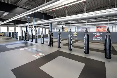 Stallion Gym