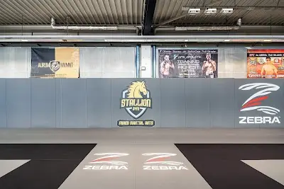 Stallion Gym BJJ Academy - photo 1