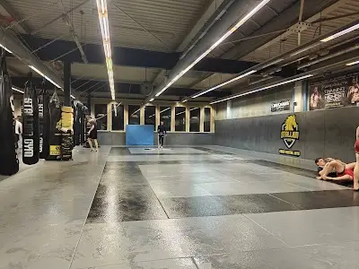 Stallion Gym BJJ Academy - photo 2