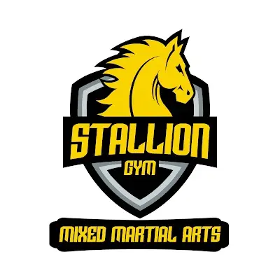 Stallion Gym BJJ Academy - photo 4