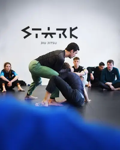 Stark Jiu-Jitsu BJJ Academy - photo 1