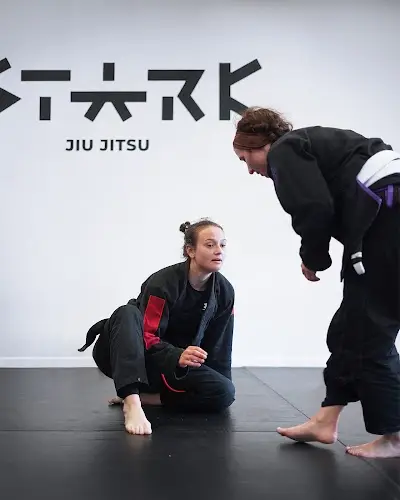 Stark Jiu-Jitsu BJJ Academy - photo 2