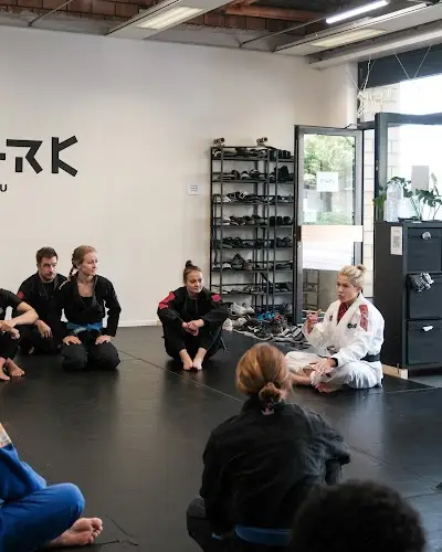 Stark Jiu-Jitsu BJJ Academy - photo 4