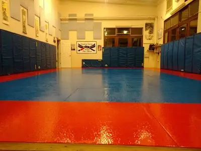 Steamboat Springs Brazilian Jiu Jitsu (SSBJJ) BJJ Academy - photo 2