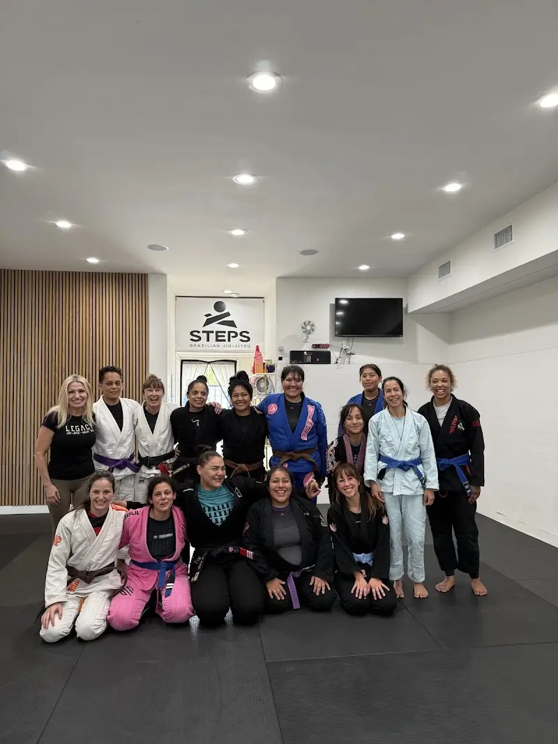 Steps Brazilian Jiu Jitsu BJJ Academy - photo 1