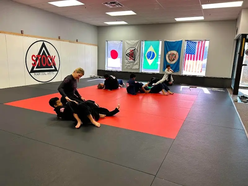 Stock Martial Arts BJJ Academy - photo 1