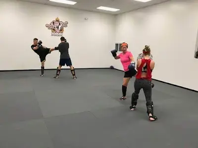 Stout PGH - Zelienople/North BJJ Academy - photo 4