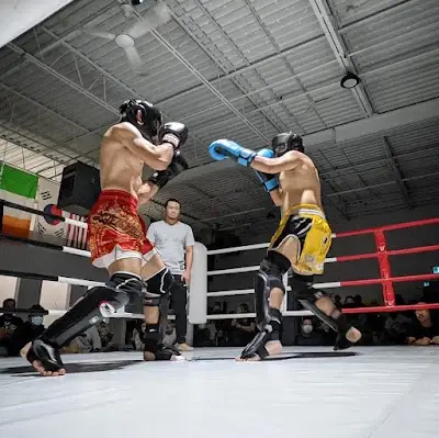Straight Blast Gym Scarborough - Mixed Martial Arts BJJ Academy - photo 1