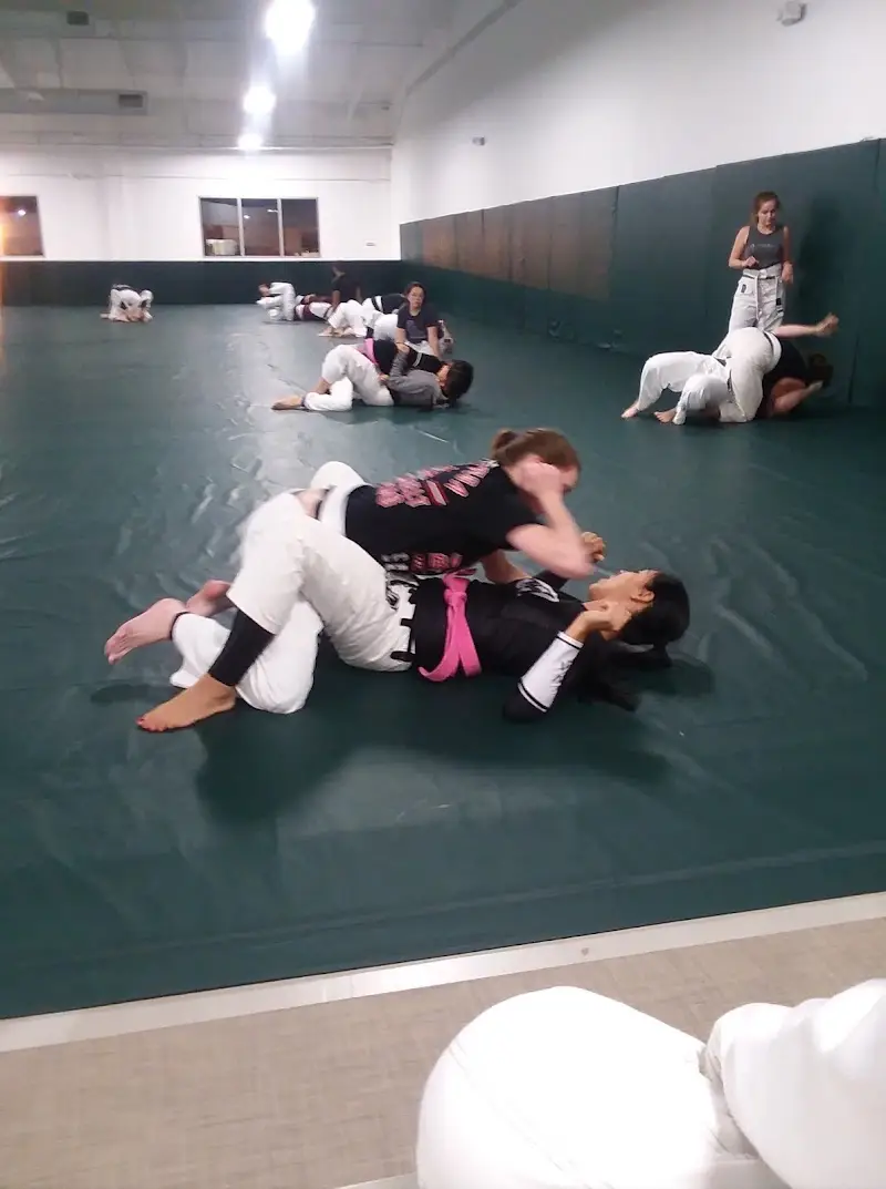 Straight Blast Gym Teton Valley (SBG Teton Valley) BJJ Academy - photo 2