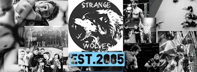 Strange Wolves MMA BJJ Academy - photo 3