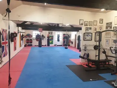 STRASSEGYM BJJ Academy - photo 4