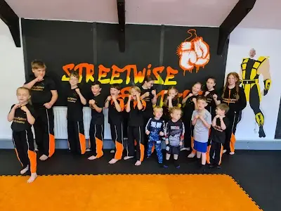 Streetwise Fighters BJJ Academy - photo 1