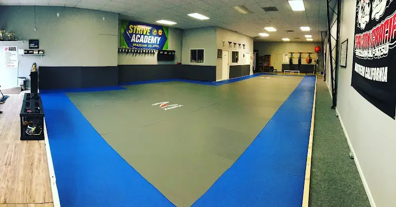 Strive Jiu Jitsu Academy BJJ Academy - photo 1