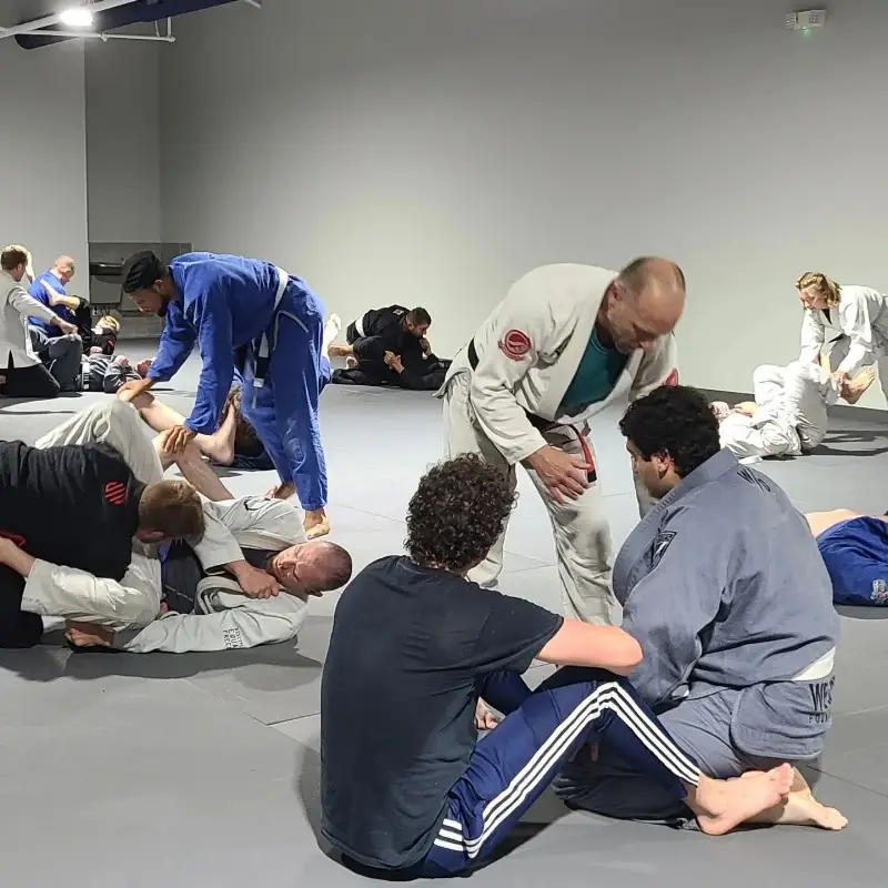 Studio 360 Brazilian Jiu-Jitsu/Thai Boxing/Judo/Self-Defense