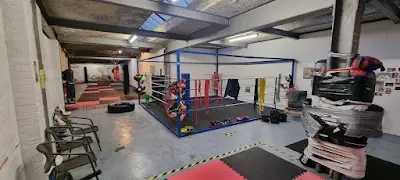 Styles Muay Thai