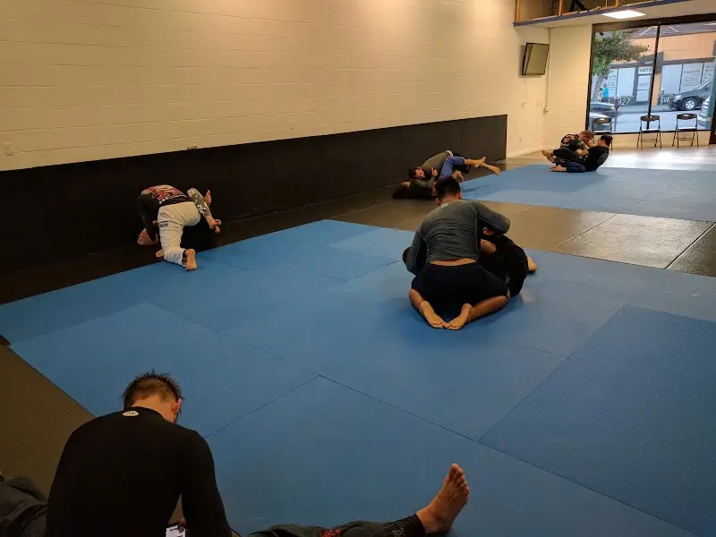 Subconscious BJJ BJJ Academy - photo 2