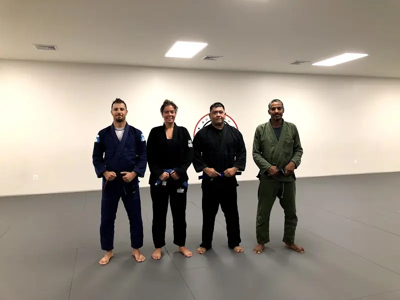 SubForce Brazilian Jiujitsu and Martial Arts BJJ Academy - photo 1