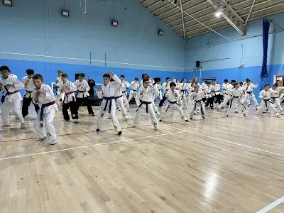 Success Martial Arts BJJ Academy - photo 2