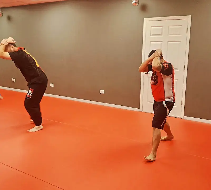 SUDA International Training Center BJJ Academy - photo 2