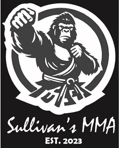 Sullivan’s MMA BJJ Academy - photo 3