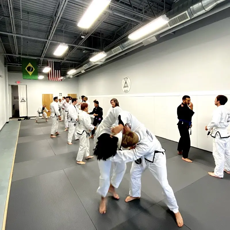 SUMMIT FIGHT BJJ | Daytona Beach BJJ Academy - photo 2