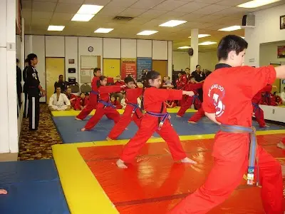 Sun Hang Do Martial Arts BJJ Academy - photo 3