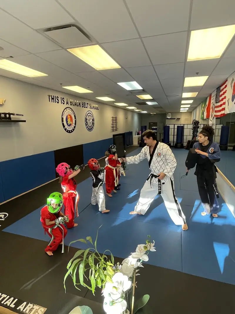 Supreme Martial Arts BJJ Academy - photo 1