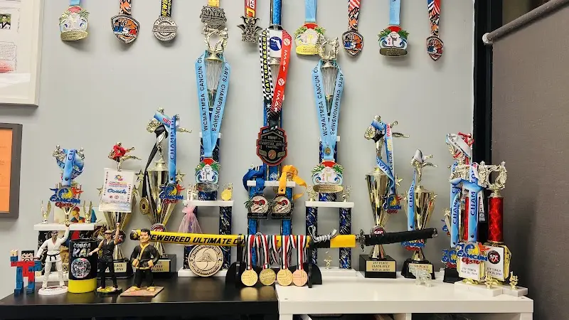 Supreme Martial Arts BJJ Academy - photo 2