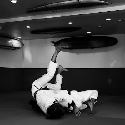 Surfight Jiu Jitsu