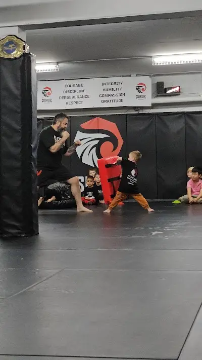 Surge MMA BJJ Academy - photo 1