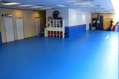 Surrey Masters Martial Arts BJJ Academy - photo 1