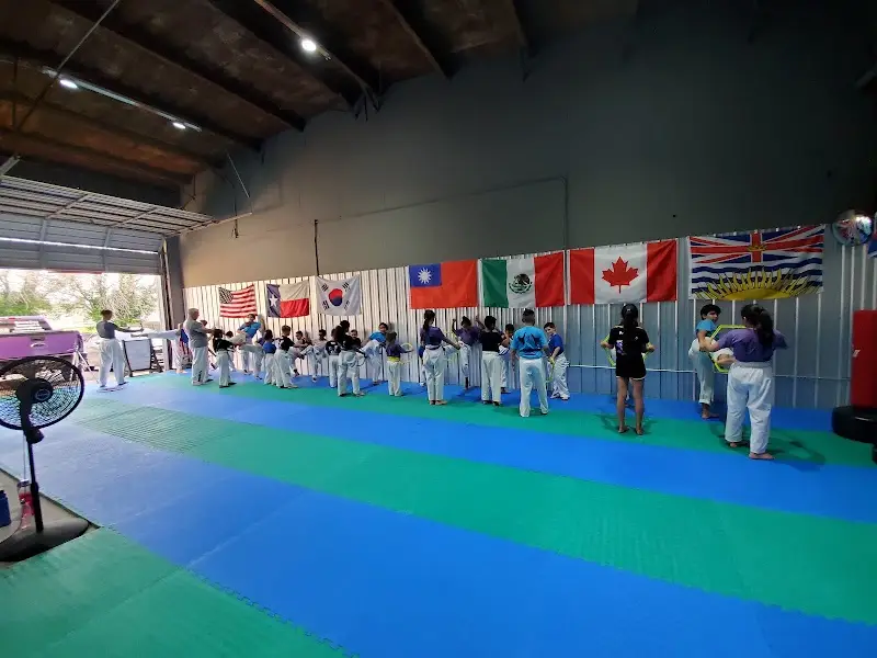 SVega Taekwondo, Jiu-jitsu and Training Center BJJ Academy - photo 1