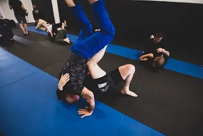 Swedesboro Jiu-Jitsu and MMA BJJ Academy - photo 1