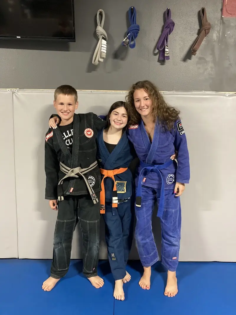 Sweeps Brazilian Jiu-Jitsu BJJ Academy - photo 2