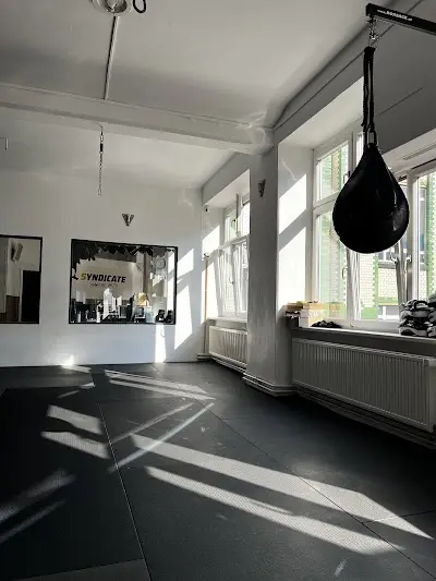 Syndicate Martial Arts Berlin - Shao Berlin GmbH BJJ Academy - photo 1