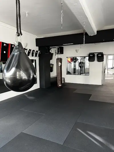 Syndicate Martial Arts Berlin - Shao Berlin GmbH BJJ Academy - photo 4
