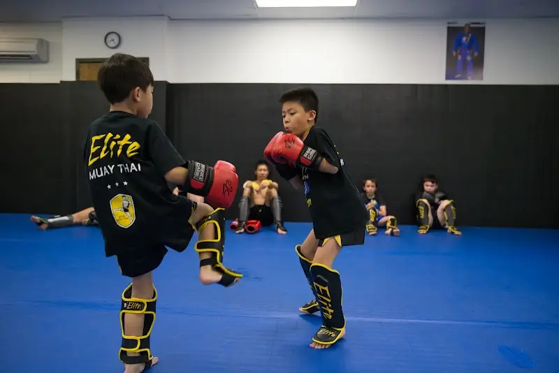 T3MA of Bellevue BJJ Academy - photo 1