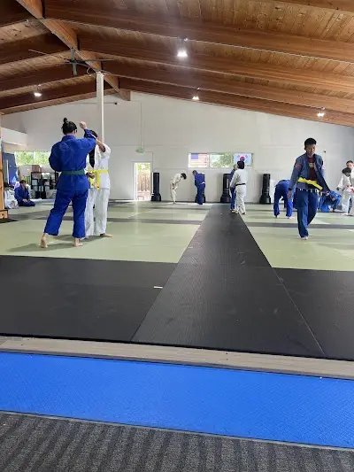 TAM CENTER BJJ Academy - photo 1