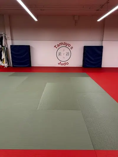 Tamayo's Judo