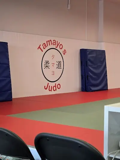 Tamayo's Judo BJJ Academy - photo 2