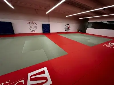 Tamayo's Judo BJJ Academy - photo 4