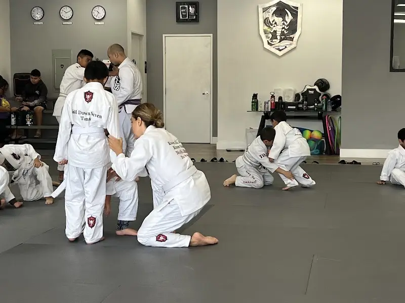 Tao of Jiu Jitsu BJJ Academy - photo 1
