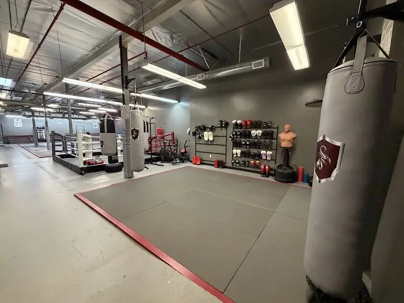 Tao of Jiu Jitsu BJJ Academy - photo 2