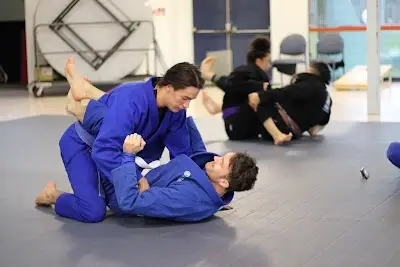Tauranga BJJ