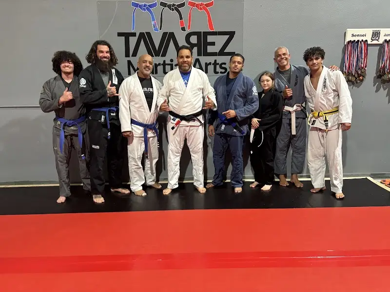 Tavarez Martial Arts BJJ Academy - photo 2