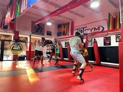 TBT GYM-TOTAL BODY TRAINING BJJ Academy - photo 2