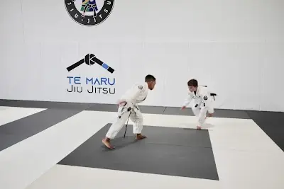 Te Maru Jiu Jitsu BJJ Academy - photo 1